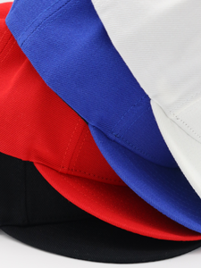 Logo Snapback